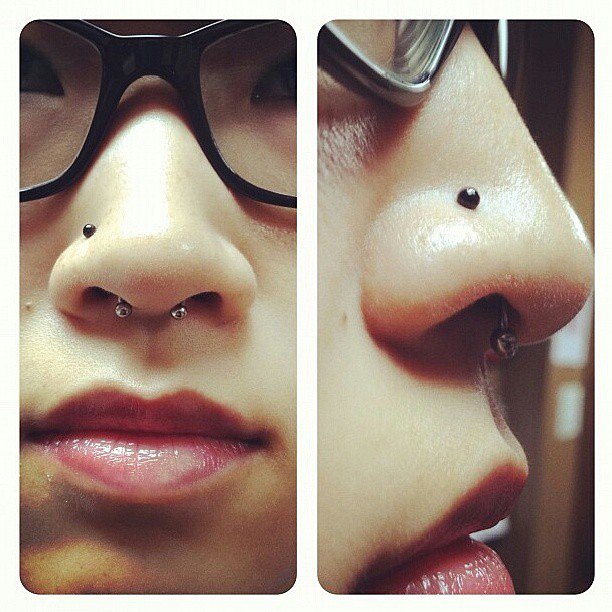 Hacer Septum Aviles ¿Qué es la perforación de la nariz?