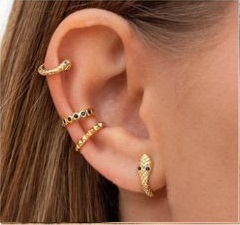 Piercings Piscis